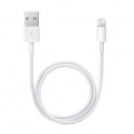 Cable Conector Lightning A Usb 1M (Generico)